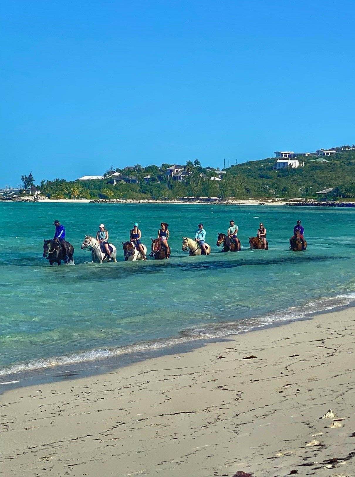 Group of people riding horses in shallow ocean water near a sandy beach, with a hilly landscape and houses in the background.