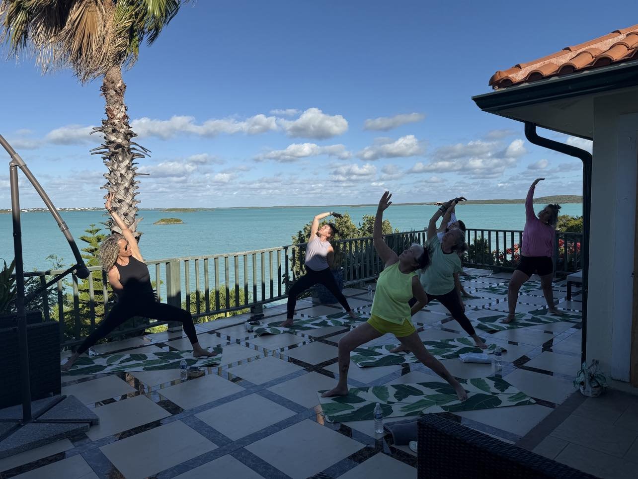 Group of people doing yoga outdoors on a terrace overlooking the ocean, with a palm tree and clear sky in the background.