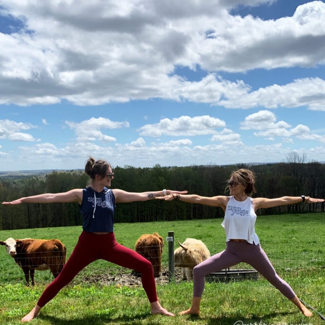 Two people practicing yoga in a field, performing Warrior II pose, surrounded by cows, trees, and a scenic landscape under a blue sky with clouds.
